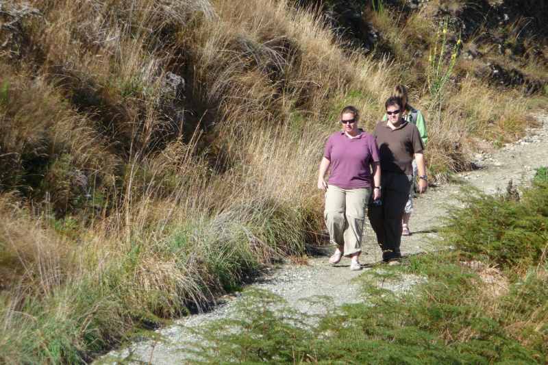 Nieuw-Zeeland 2011 - 1768